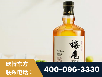 宣城-梅见青梅酒